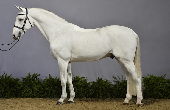 Caballero e. Champion de Lys/ Acord II/ Polydor