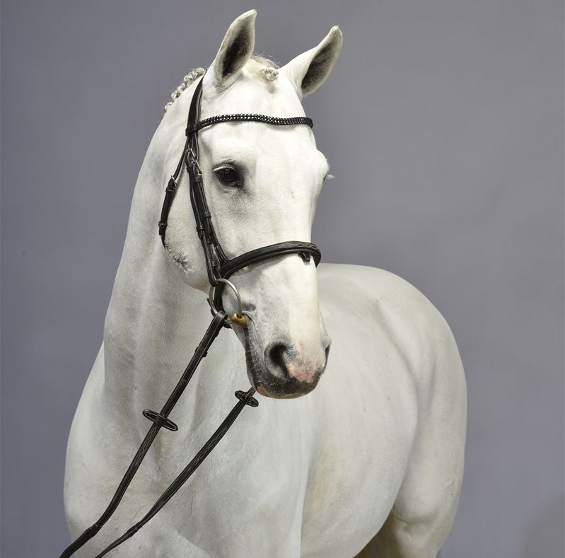 Caballero 80